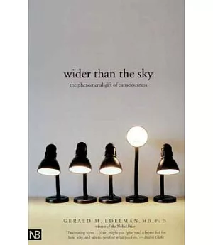 Wider Than The Sky: The Phenomenal Gift Of Consciousness