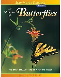 A Shimmer Of Butterflies: The Brief, Brilliant Life of a Magical Insect
