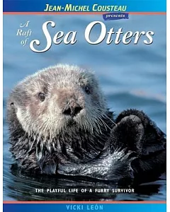 A Raft Of Sea Otters: The Playful Life of a Furry Survivor