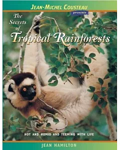 The Secrets Of Tropical Rainforests: Hot and Humid and Teeming with life