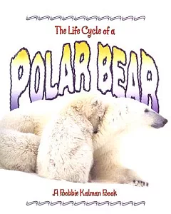 The Life Cycle of a Polar Bear