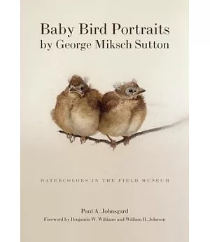 Baby Bird Portraits / Watercolors in the Field Museum: Watercolors in the Field Museum