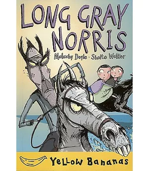 Long Gray Norris