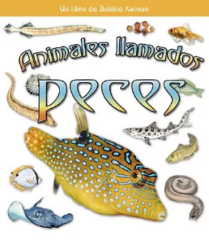 Animales Ilamados Peces / Animals Called Fish