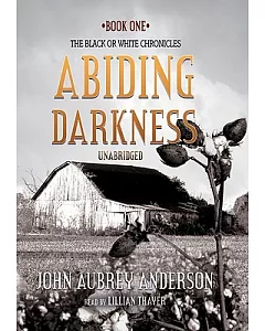 Abiding Darkness: Book 1 of the Black or White Chronicles