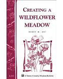 Creating a Wildflower Meadow