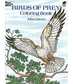 Birds of Prey Coloring Book