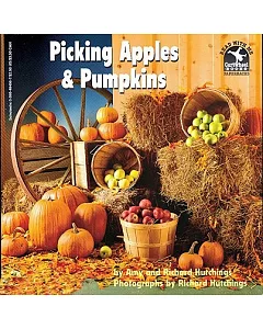 Picking Apples & Pumpkins