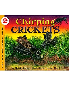 Chirping Crickets: Stage 2