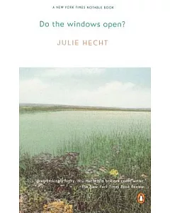 Do the Windows Open?