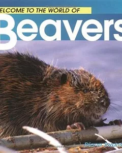 Welcome to the World of Beavers