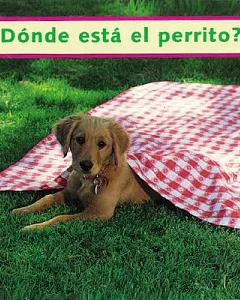 Donde Esta El Perrito / Where Is the Puppy?
