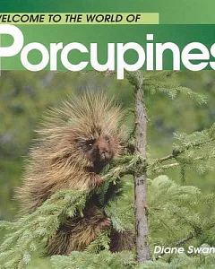 Welcome to the World of Porcupines