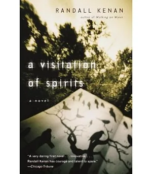 A Visitation of Spirits: A Novel