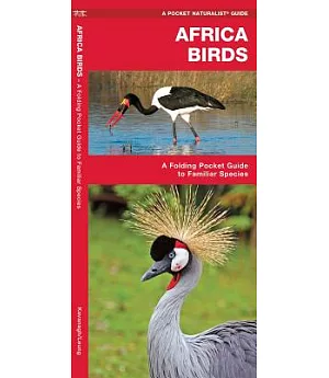 African Birds: A Folding Pocket Guide to Familiar Species