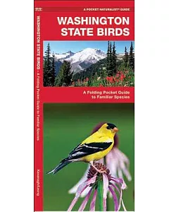 Washington Birds: A Folding Pocket Guide to Familiar Species