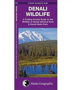 Denali Wildlife: An Introduction to the Wildlife of Denali National Park & Denali State Park