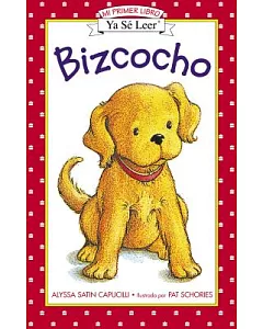 Bizcocho / Biscuit