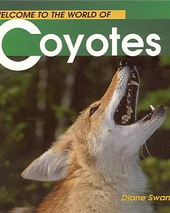 Welcome to the World of Coyotes