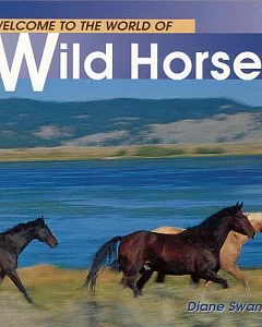 Welcome to the World of Wild Horses