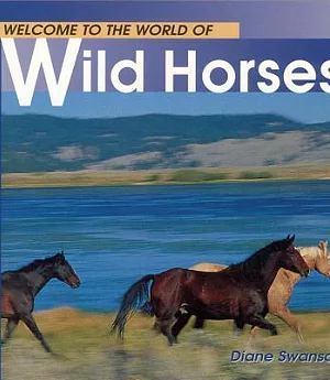 Welcome to the World of Wild Horses