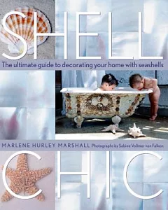 Shell Chic: The Ultimate Guide to Decorating Your Home With Seashells