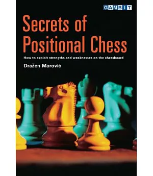 Secrets of Positional Chess