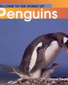 Welcome to the Whole World of Penguins