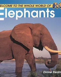 Welcome to the Whole World of Elephants