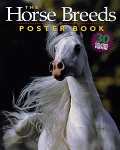 The Horse Breeds Poster Book