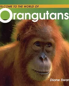 Welcome to the Whole World of Orangutans