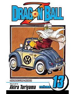 Dragon Ball Z 13