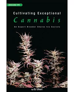 Cultivating Exceptional Cannabis: An Expert Breeder Shares His Secrets