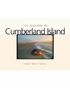 The Seasons of Cumberland Island