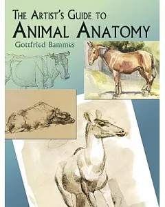 The Artist’s Guide To Animal Anatomy