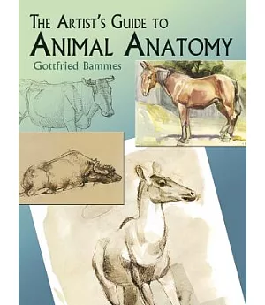 The Artist’s Guide To Animal Anatomy