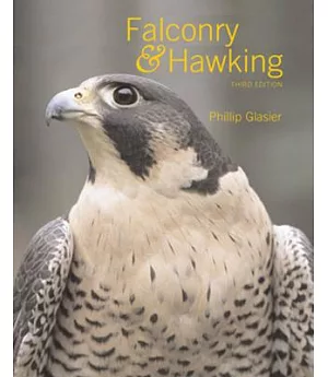 Falconry & Hawking