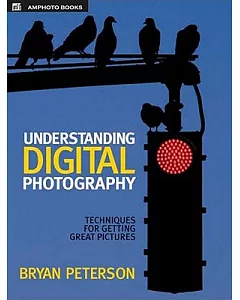 Understanding Digital Photography: Techniques For Getting Great Pictures