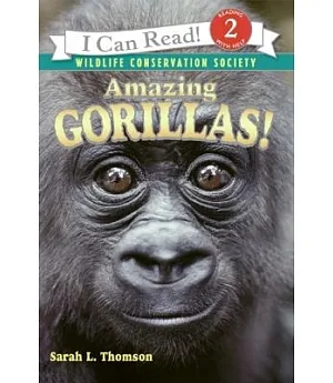 Amazing Gorillas!