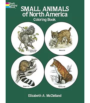 Small Animals of North America Coloring Book
