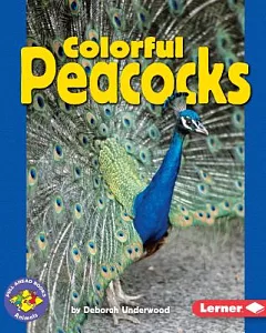 Colorful Peacocks