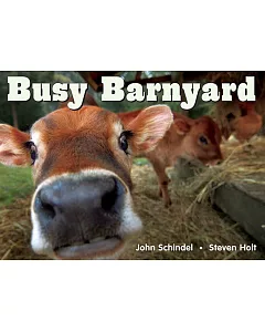 Busy Barnyard