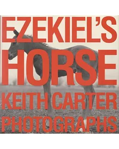Ezekiel’s Horse: Photographs