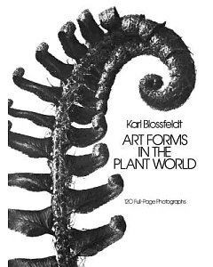 Art Forms in the Plant World: 120 Full-Page Photographs