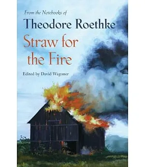 Straw for the Fire: From the Notebooks of Theodore Roethke: 1943-1963