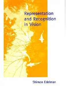 Representation and Recognition in Vision