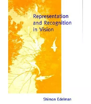 Representation and Recognition in Vision