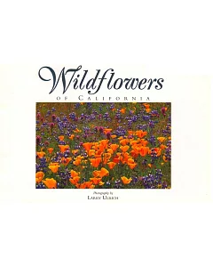 Wildflowers of California
