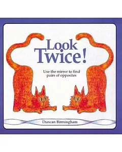 Look Twice: Mirror Reflections, Logical Thinking