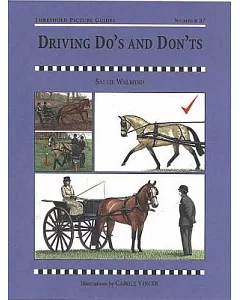 Driving Do’s and Don’ts
